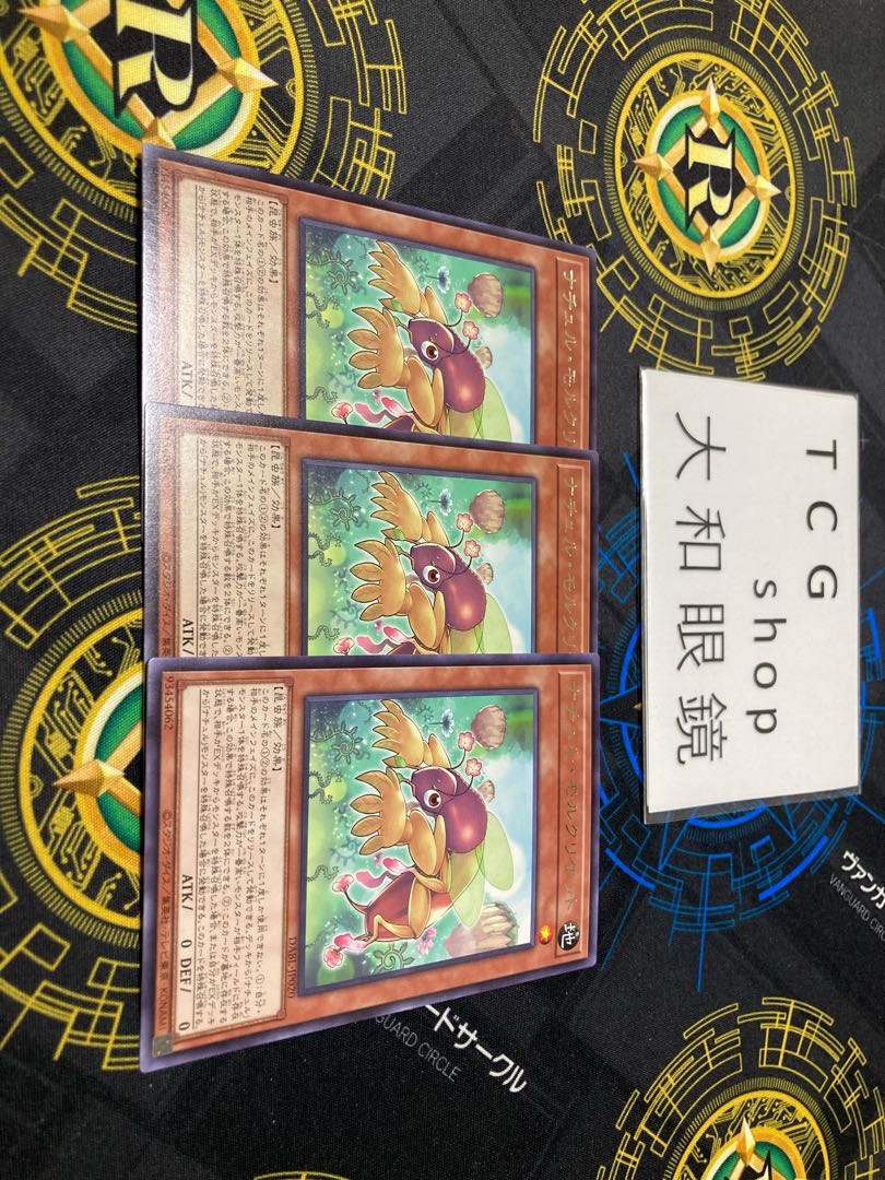 Natur Mole Cricket Rare JP020 set of 3 for play