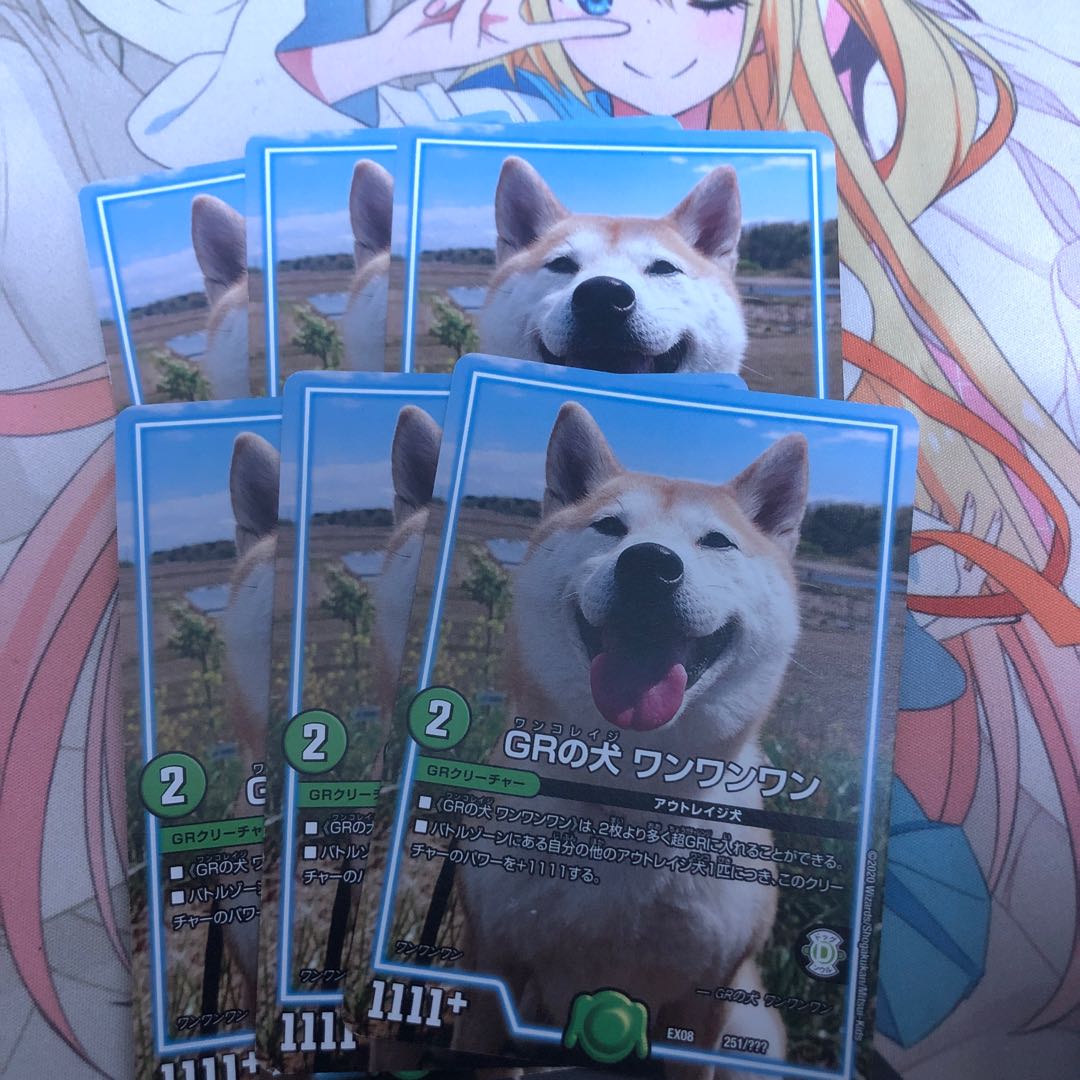 GR's dog One One One 251/?????