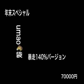 ［POKEKA FUKU BUCKET] Year-end special horse bag - runaway version