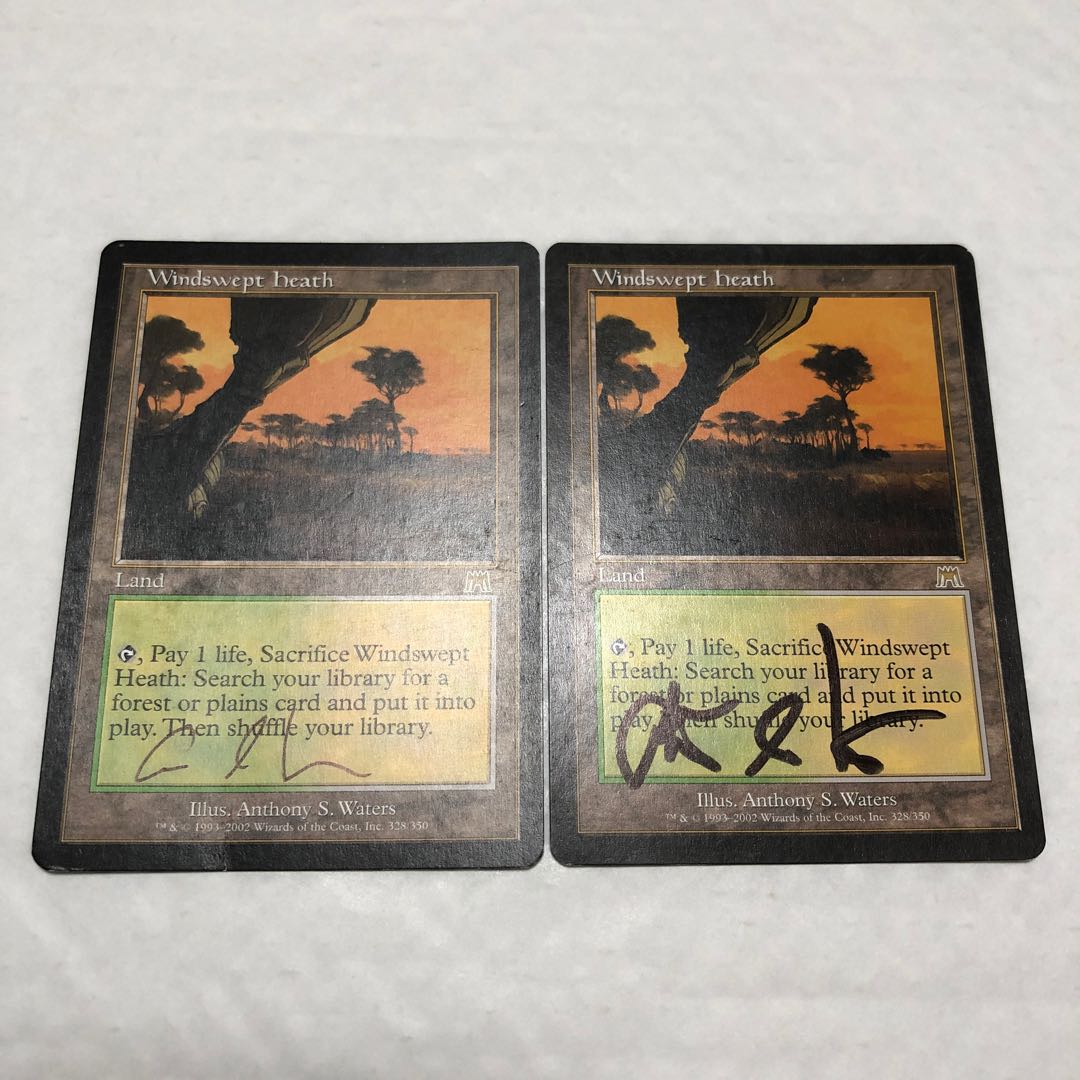 ちゃん様専用 吹きさらしの荒野 サインド 聖別されたスフィンクス 各1枚