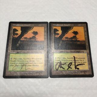 ちゃん様専用 吹きさらしの荒野 サインド 聖別されたスフィンクス 各1枚