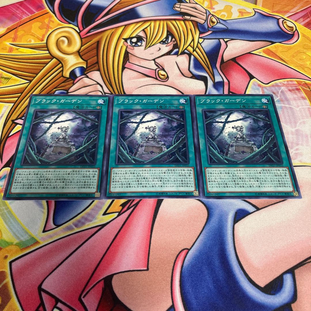 Black Garden Normal JP032 1枚