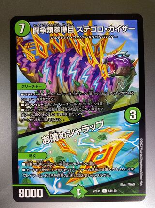 闘争類拳嘩目 ステゴロ・カイザー｜お清めシャラップ R 54/130