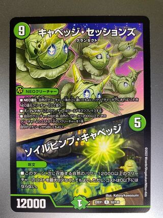 キャベッジ・セッションズ｜ソイルピンプ・キャベッジ R 52/130