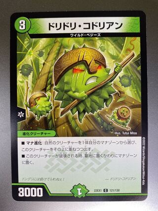 Doridori Kodrian C 121/130