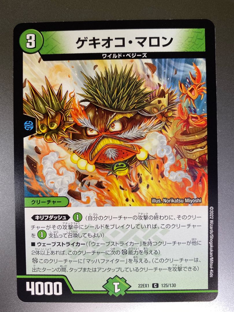 Gechioco Marron C 125/130