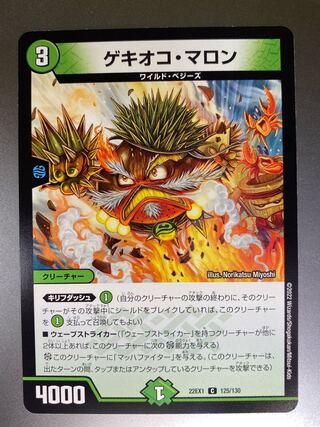 Gechioco Marron C 125/130