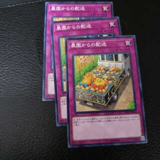 農園からの配送　3枚