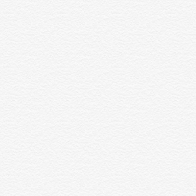 疾風のハヤテ様専用