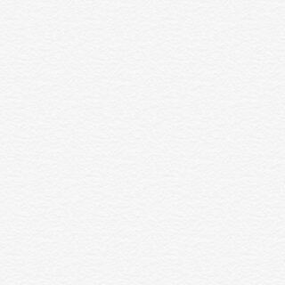 疾風のハヤテ様専用