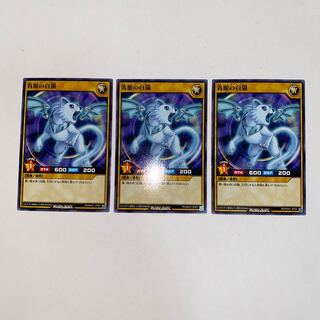 blue-eyed white cat (Pseudobagrus ichikawai)