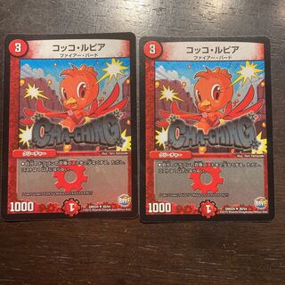 Cocco Lupia U-foil 30/54