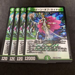 クイーン・オブ・ネイチャー VR 13/68