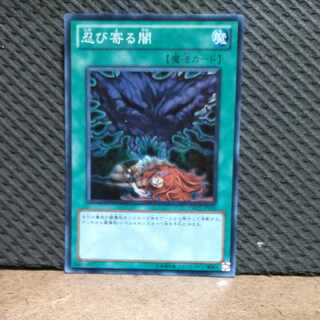 【ぽぽたん】遊戯王  -635  忍び寄る闇  スーパー