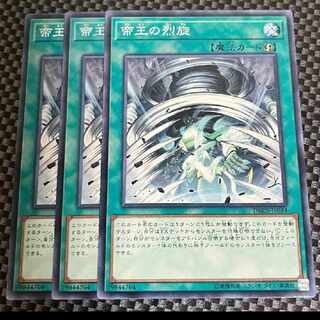 Exclusive for Salmon Salmon Salmon Ikura Shop