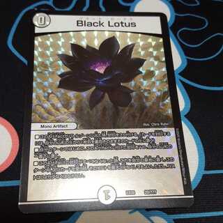 本日限定価格ブラックロータス1枚 1枚の通販 ひろき（345197683） | magi
