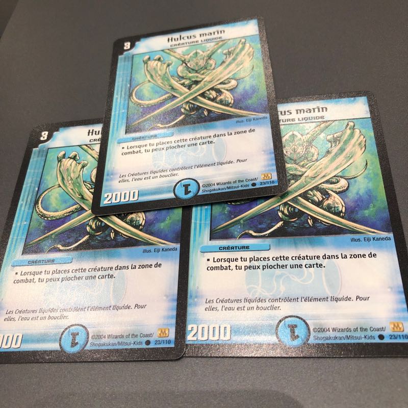 フランス語版 アクアハルカス