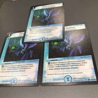 フランス語版 マリンフラワー