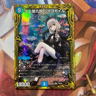 Waterjo Ninth Institute Shakogile (20th SP Rare Spec.) SR 17B/20