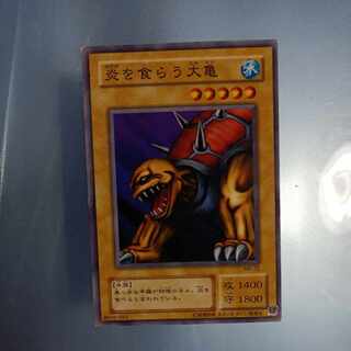 炎を食らう大亀　2期 ノーマル　☆　MR