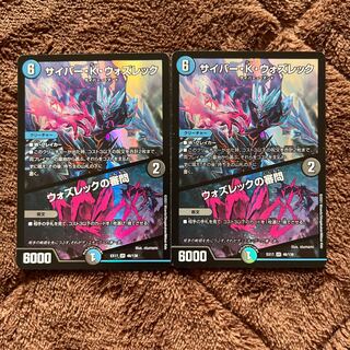 Cyber K. Wozrek｜The Wozrek Inquiry