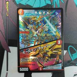 R.S.F.K.｜All-in Charger VR 30/130