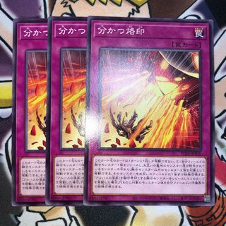 Brand that divides Normal JP070