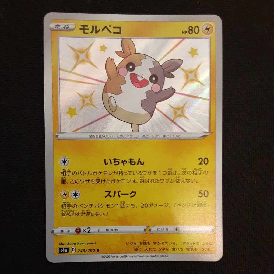 モルペコ S 243/190