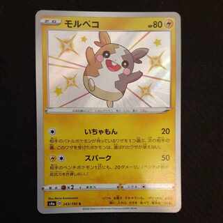 モルペコ S 243/190