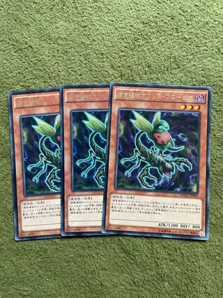 捕食植物オフリス・スコーピオ レア JP009 3枚