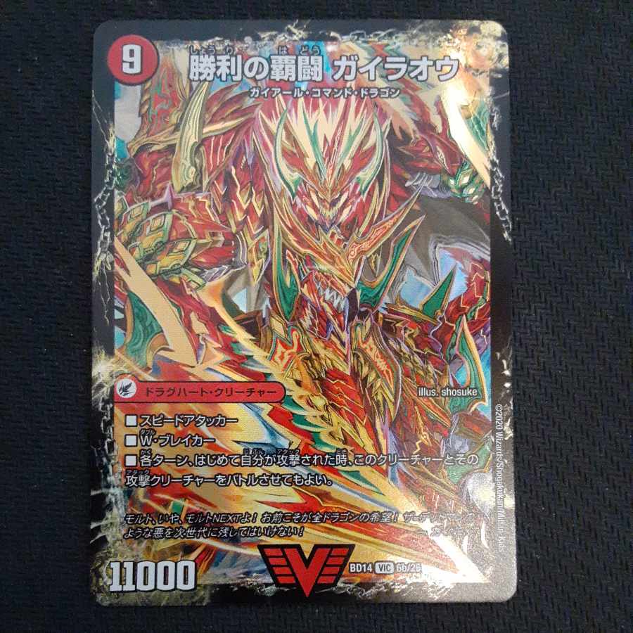 HaFighting Shoguryu Sword Gaiowan｜Victory HaFighting Gairaowan VIC 6a/25｜6b/25