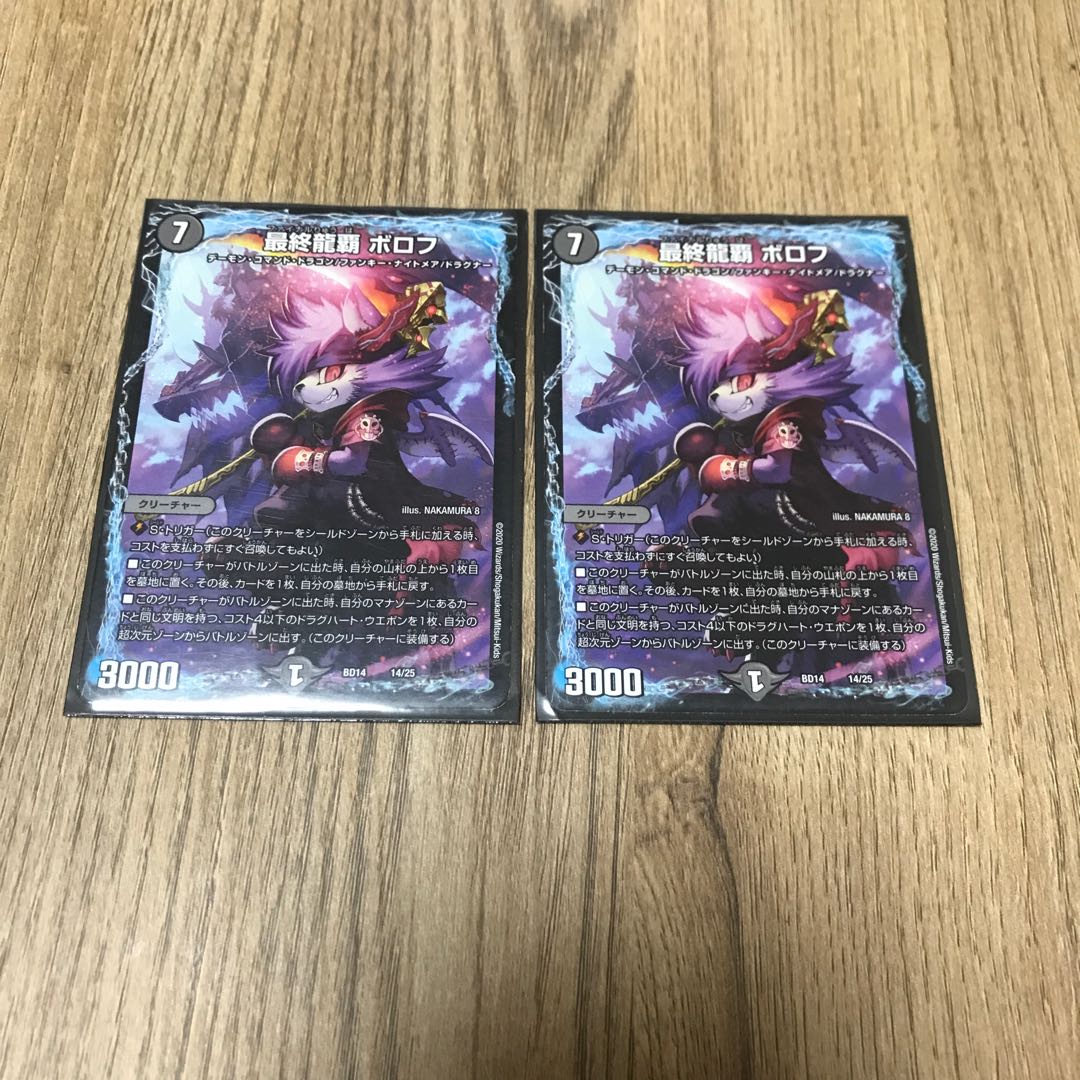 Final Dragon Heights Borov 14/25