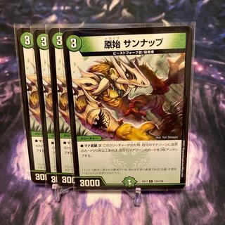 Pristine Sunnap C 135/138⑤.