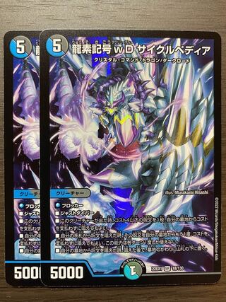 【2枚】龍素記号wD サイクルペディア SR 18/130