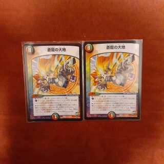 蒼龍の大地　2枚セット