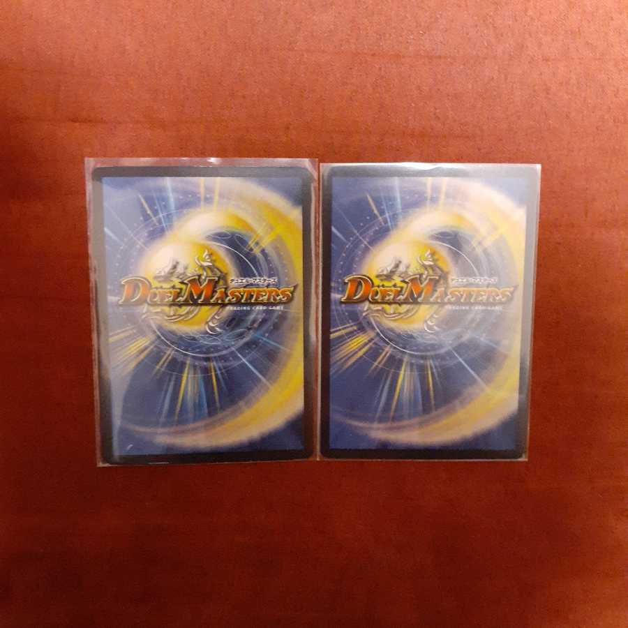 蒼龍の大地　2枚セット