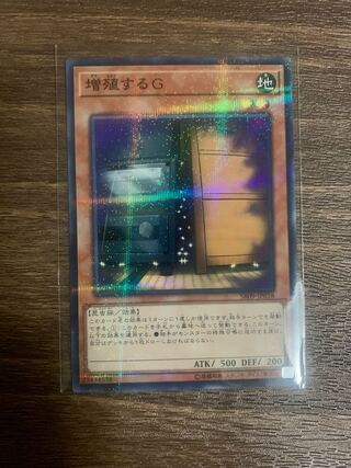 Maxx "C" parallel normal JP018