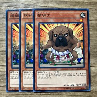 7464 横綱犬 ノーマル JP031