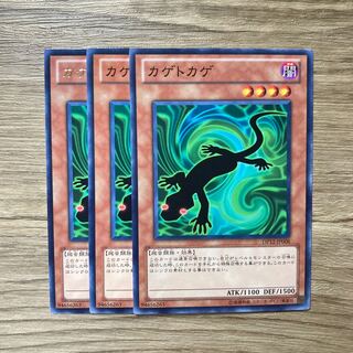 7468 カゲトカゲ ノーマル JP008