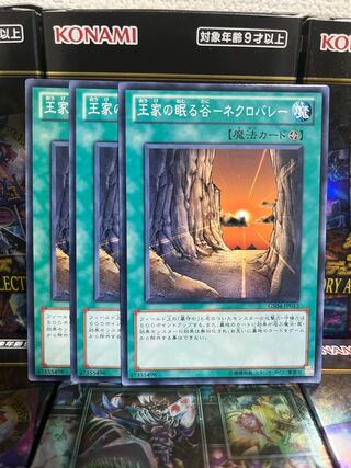 Yu-Gi-Oh Studio 1494 Sleeping Valley of Kings - Necro Valley 3 normal