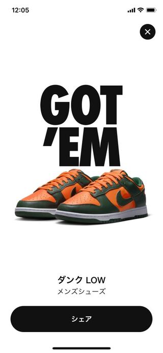 ナイキ ダンク ロー "マイアミ ハリケーンズ" チーム グリーン/チーム オレンジ-ホワイト DD1391-300 28.5cm