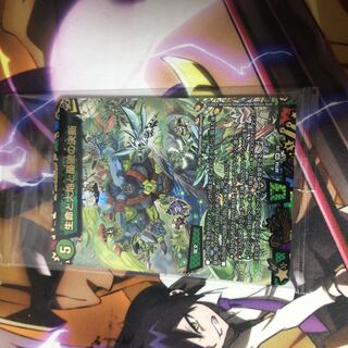 Life Life, Earth and Roaring Decision Perfect Nature God Art