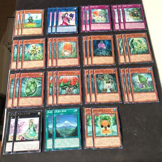 森羅　森羅の姫君　デッキパーツ　42枚