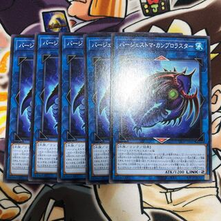 Paleozoic Cambroraster Normal JP047