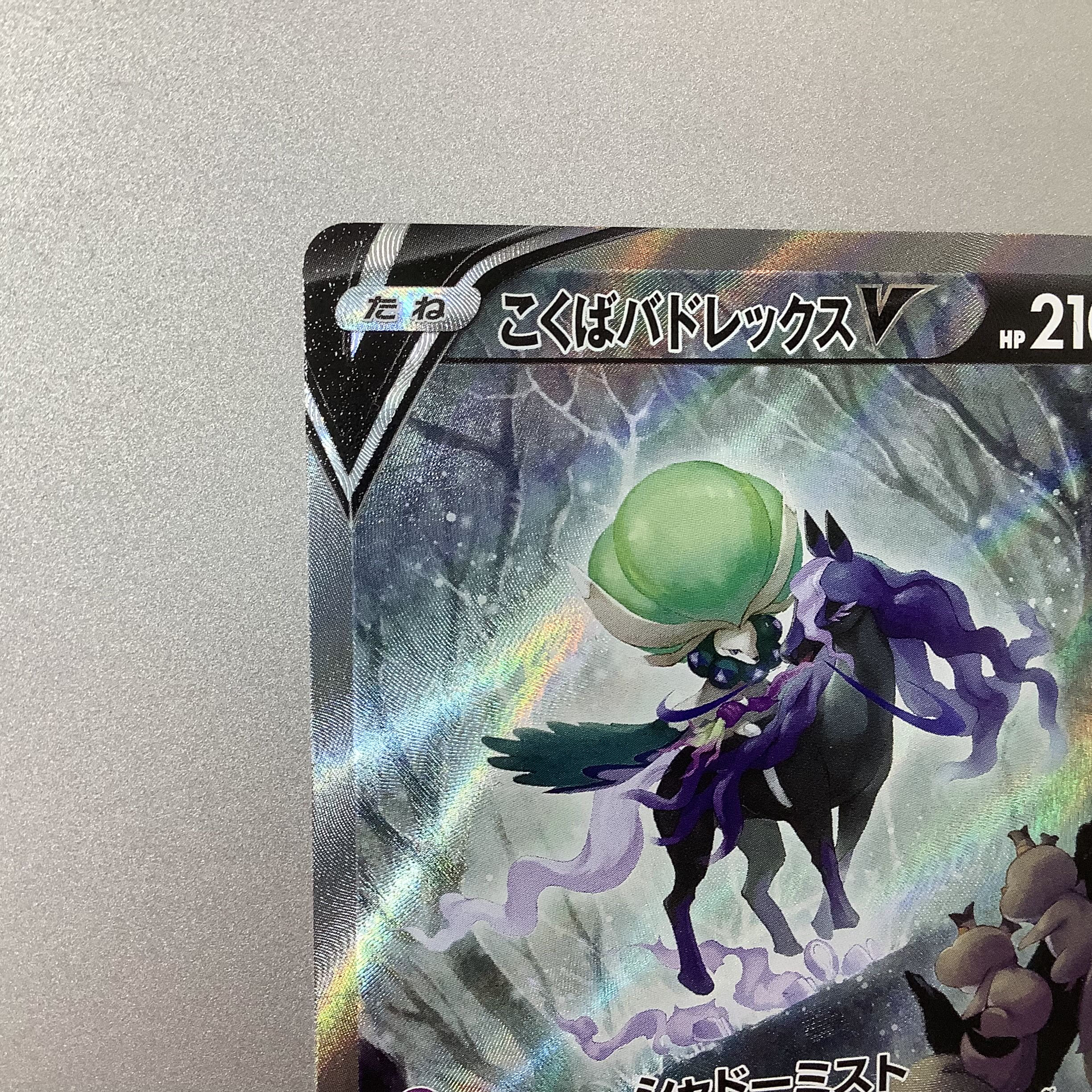 (Slight flaw) Kokuba Budrex V 076/070 SR SA