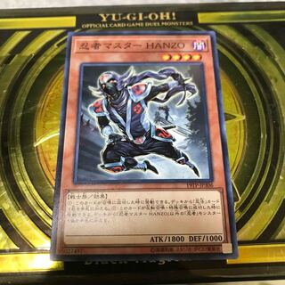 Ninja Grandmaster Hanzo Normal JP306