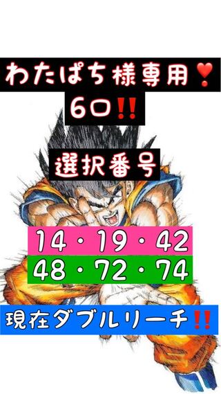 わたぱち様専用！6口！現在ダブルリーチ状態！