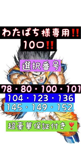 わたぱち様専用！10口！超豪華保証付き！