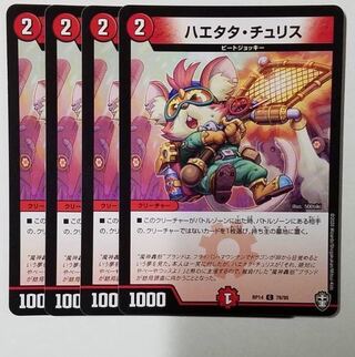 Haetata Chu Squirrel C 78/95