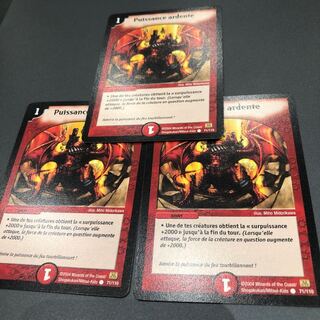 フランス語版 バーニングパワー